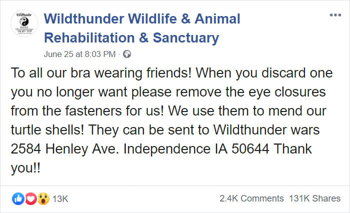 People Are Donating Their Old Bra Fasteners To Wildlife Organization That Uses Them To Save Turtles People Are Donating Their Old Bra Fasteners To Wildlife Organization That Uses Them To Save Turtles