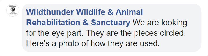 People Are Donating Their Old Bra Fasteners To Wildlife Organization That Uses Them To Save Turtles People Are Donating Their Old Bra Fasteners To Wildlife Organization That Uses Them To Save Turtles