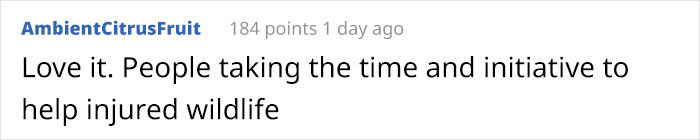 People Are Donating Their Old Bra Fasteners To Wildlife Organization That Uses Them To Save Turtles People Are Donating Their Old Bra Fasteners To Wildlife Organization That Uses Them To Save Turtles