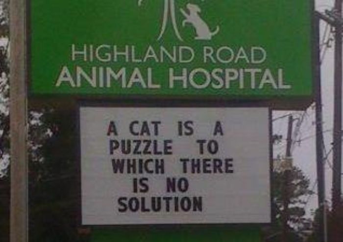 Funny Vet Clinics Signs About Cats Funny-Cat-Veterinary-Clinic-Signs