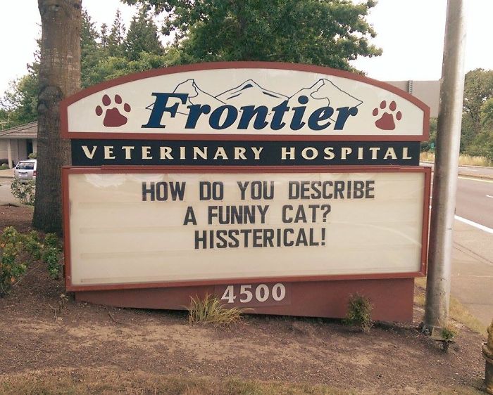 Funny-Cat-Veterinary-Clinic-Signs