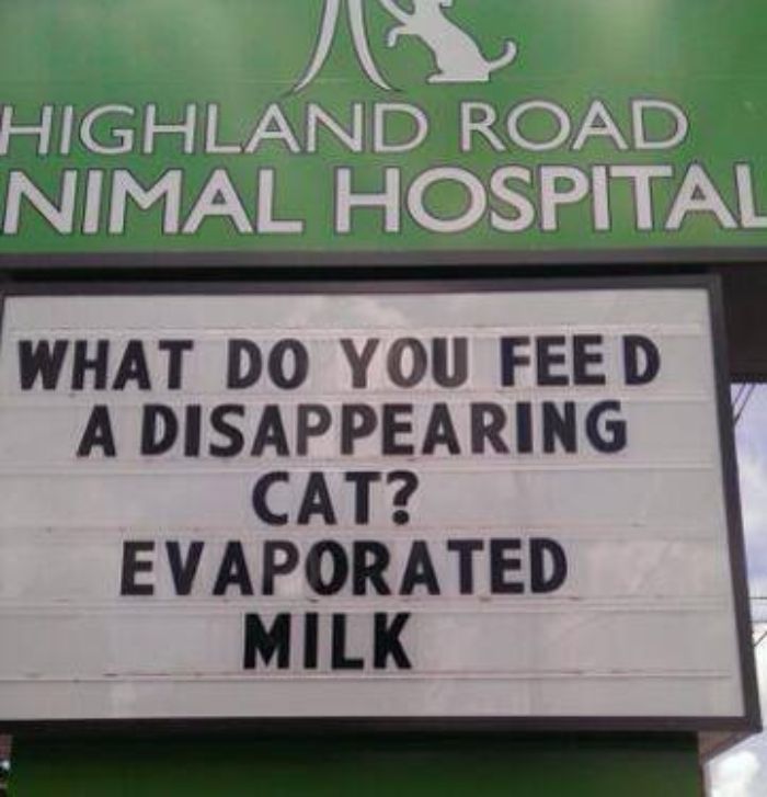 Funny Vet Clinics Signs About Cats Funny-Cat-Veterinary-Clinic-Signs