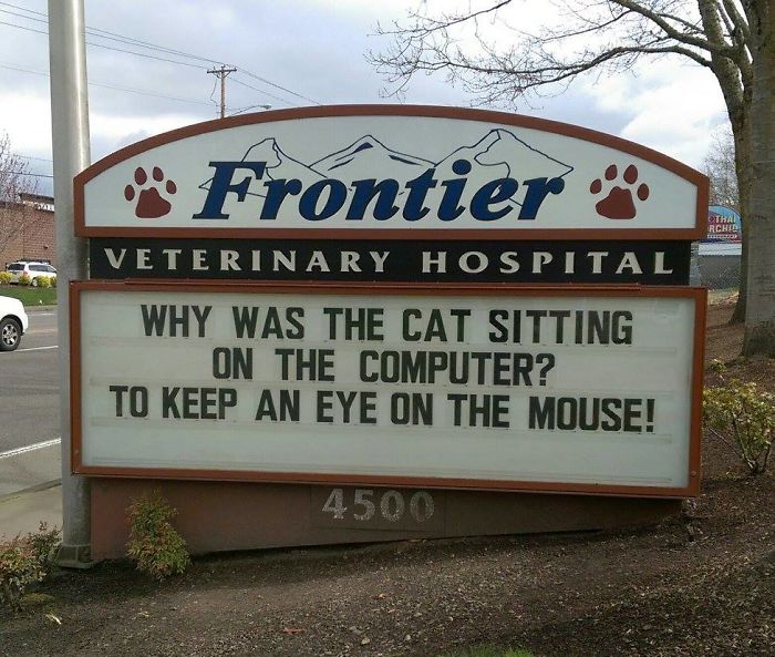 Funny-Cat-Veterinary-Clinic-Signs
