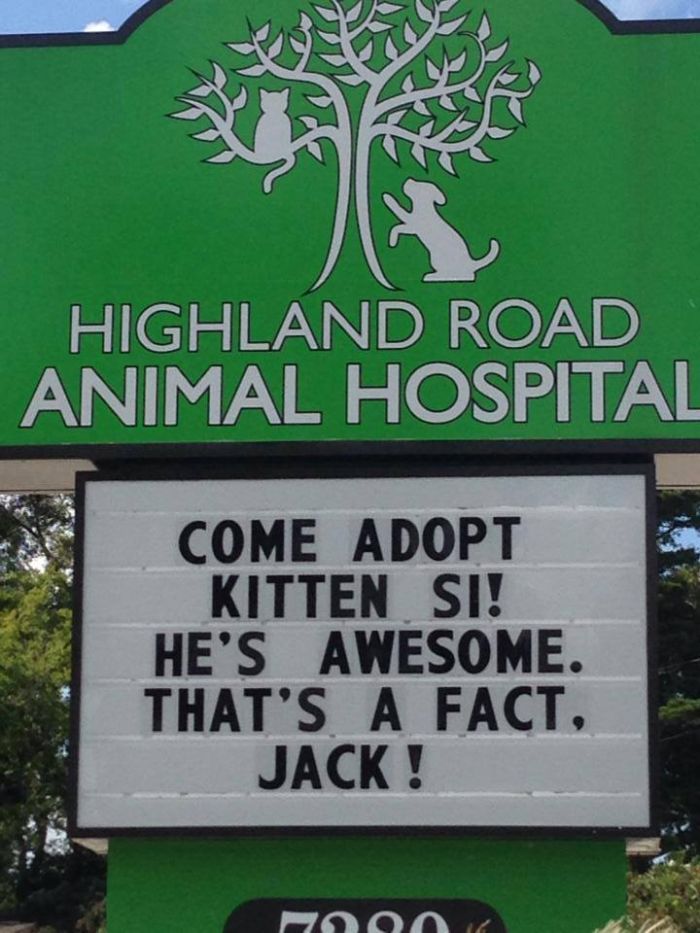Funny Vet Clinics Signs About Cats Funny-Cat-Veterinary-Clinic-Signs