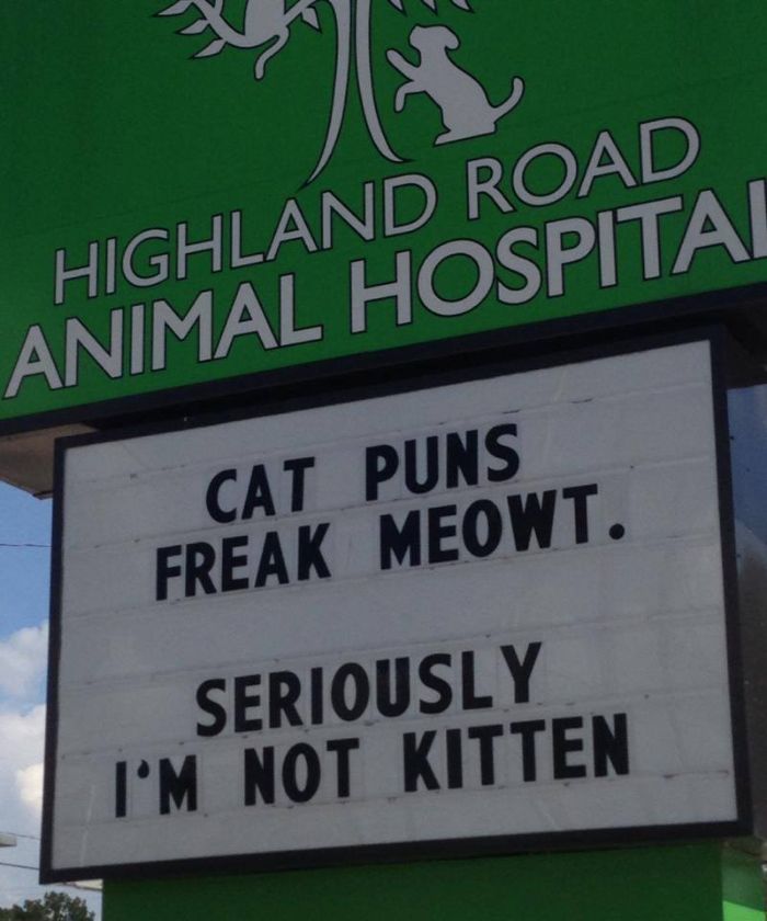 Funny Vet Clinics Signs About Cats Funny-Cat-Veterinary-Clinic-Signs