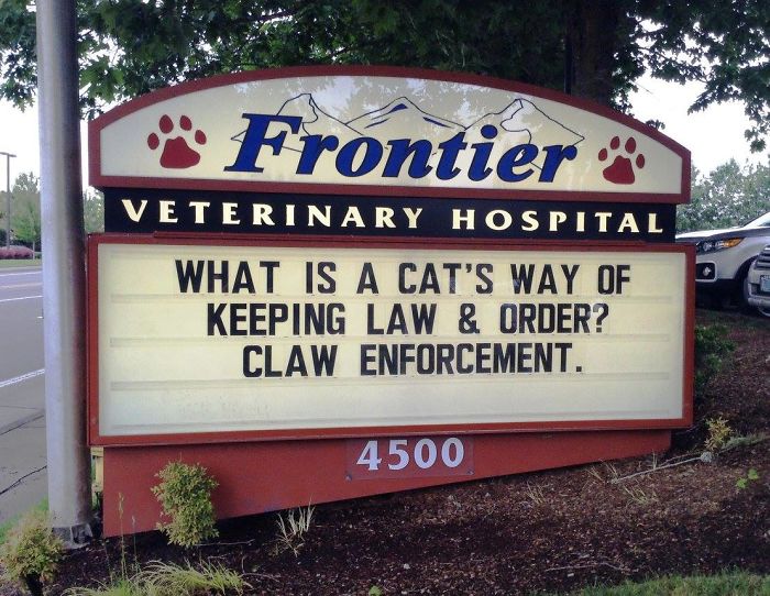 Funny-Cat-Veterinary-Clinic-Signs