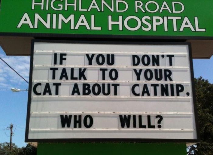 Funny Vet Clinics Signs About Cats Funny-Cat-Veterinary-Clinic-Signs