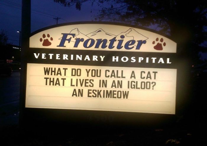 Funny-Cat-Veterinary-Clinic-Signs
