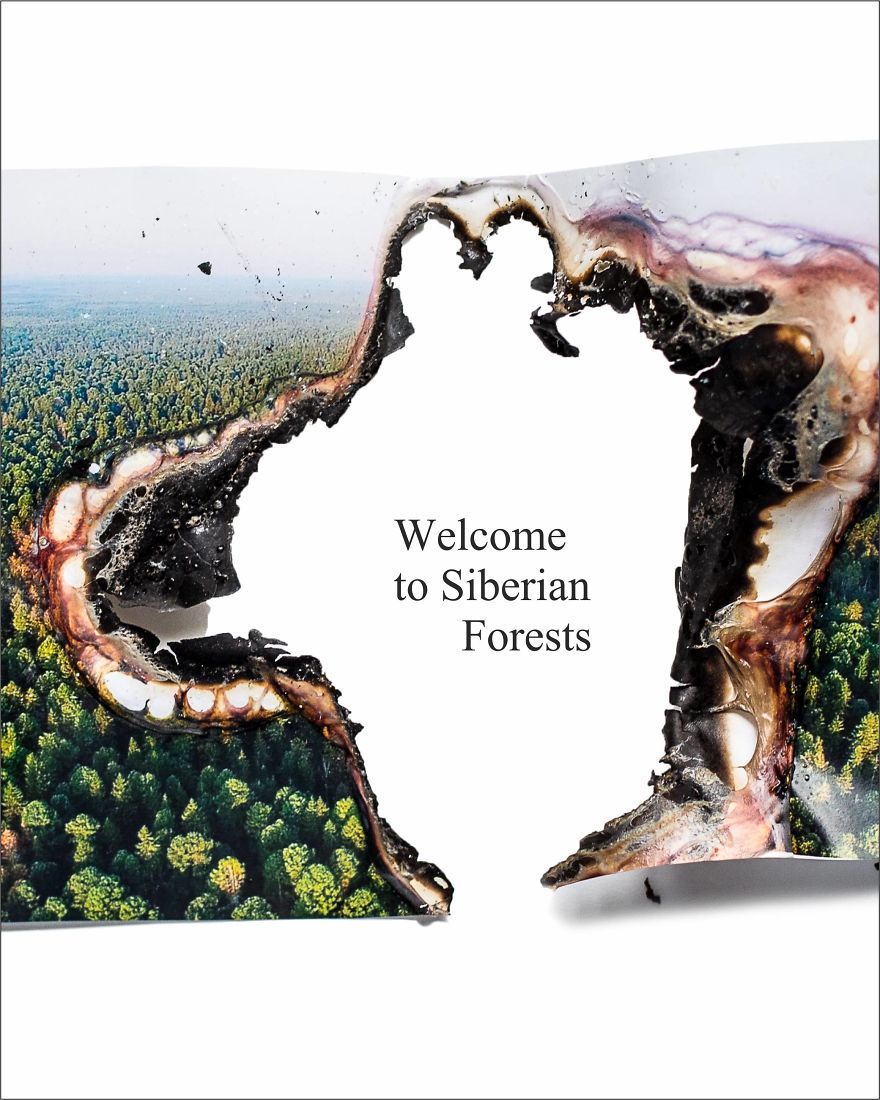 Siberian Forests Are On Fire And I Can‘t Be Silent, So I Created A Series Of Posters