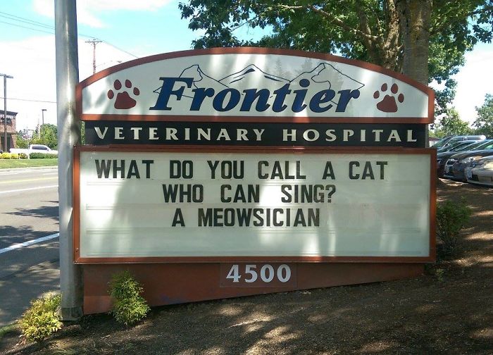 Funny-Cat-Veterinary-Clinic-Signs