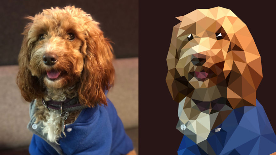 10 Cutest Dog Drawing Tutorials