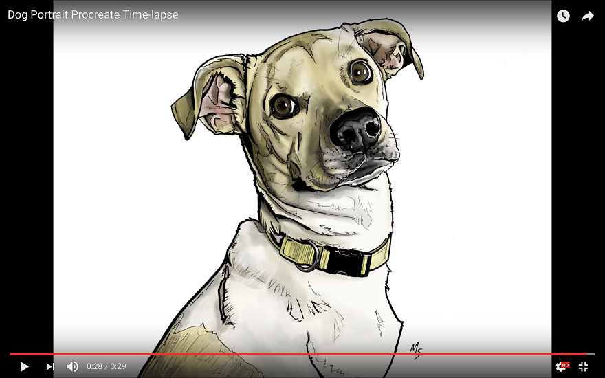 10 Cutest Dog Drawing Tutorials 10 Cutest Dog Drawing Tutorials