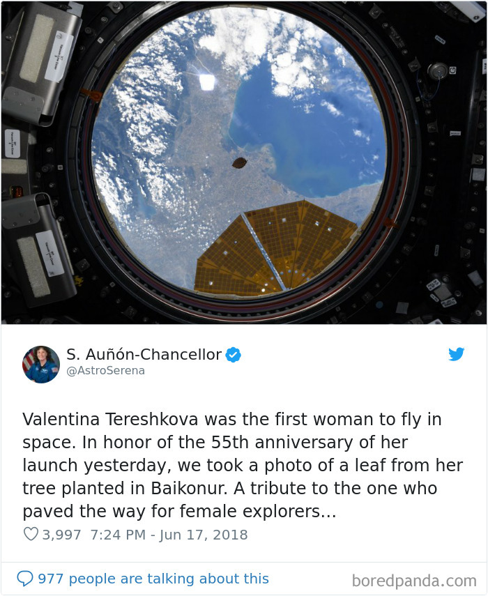 Astronaut Photo Tweet