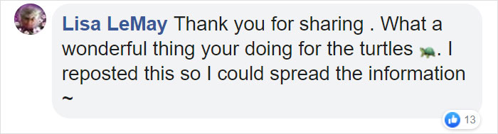 People Are Donating Their Old Bra Fasteners To Wildlife Organization That Uses Them To Save Turtles