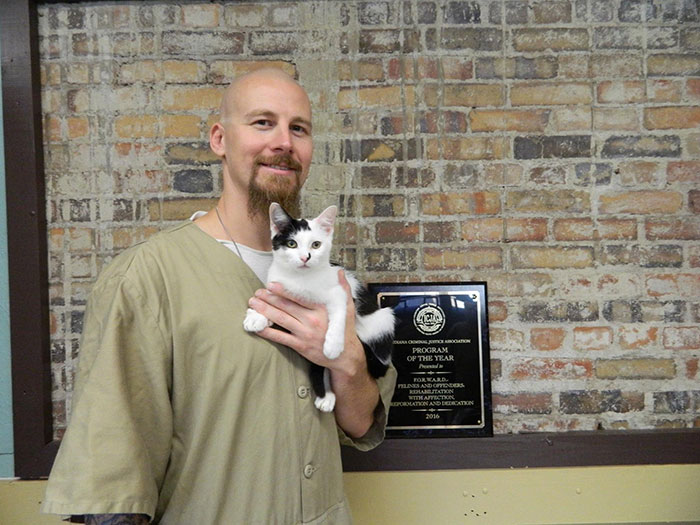 Prison In Indiana Accepts Shelter Cats And They Change Prisoners Prison In Indiana Accepts Shelter Cats And They Change Prisoners