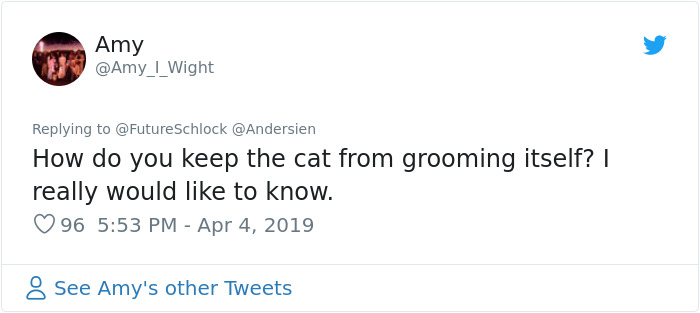 Stephen King&rsquo;s Pet Sematary Remake Had Cats From Shelters Who Were Trained To Become Cat Actors