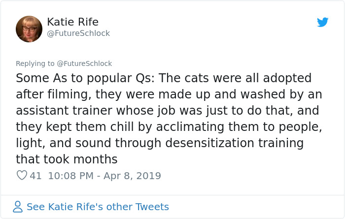 Stephen King&rsquo;s Pet Sematary Remake Had Cats From Shelters Who Were Trained To Become Cat Actors