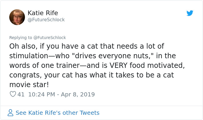 Stephen King&rsquo;s Pet Sematary Remake Had Cats From Shelters Who Were Trained To Become Cat Actors