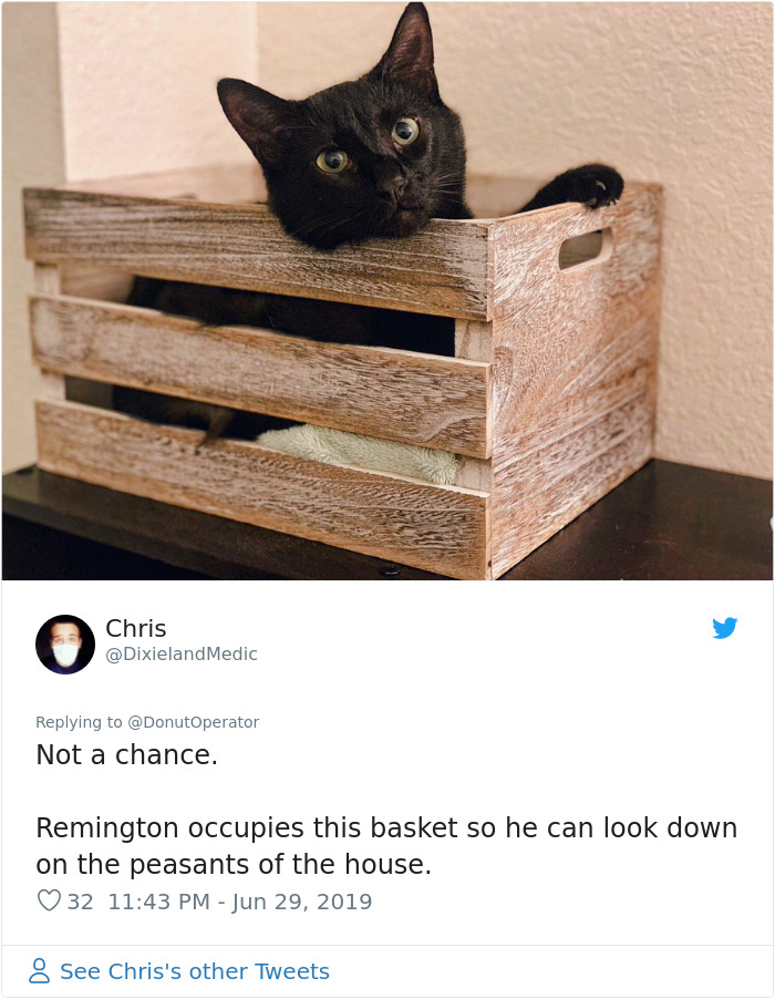 Sending-Cute-Cat-Pics-Trick