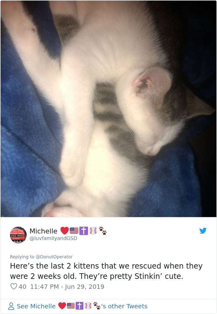 Sending-Cute-Cat-Pics-Trick