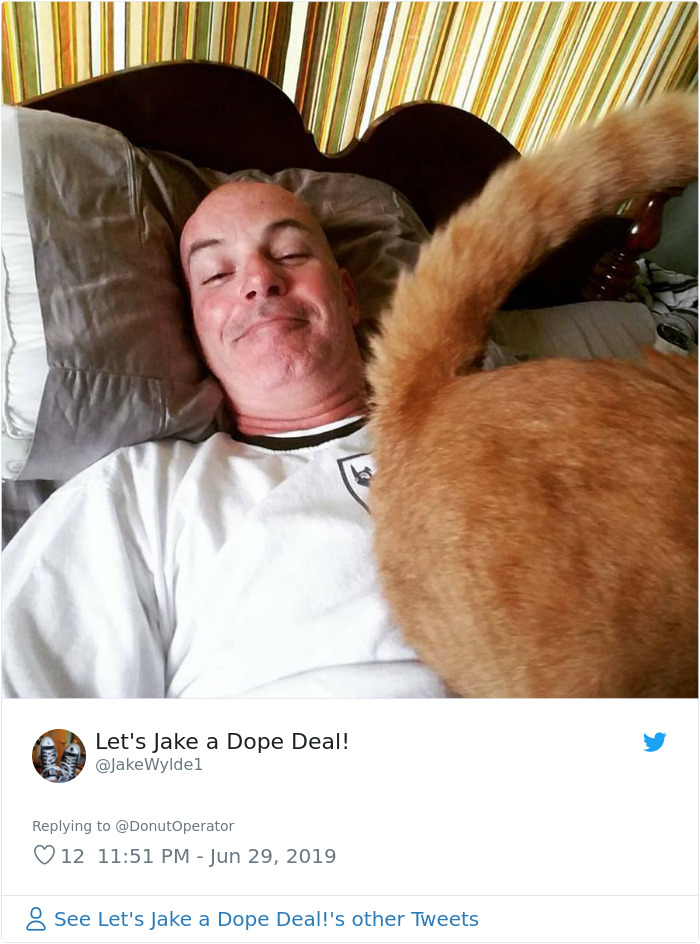 Sending-Cute-Cat-Pics-Trick