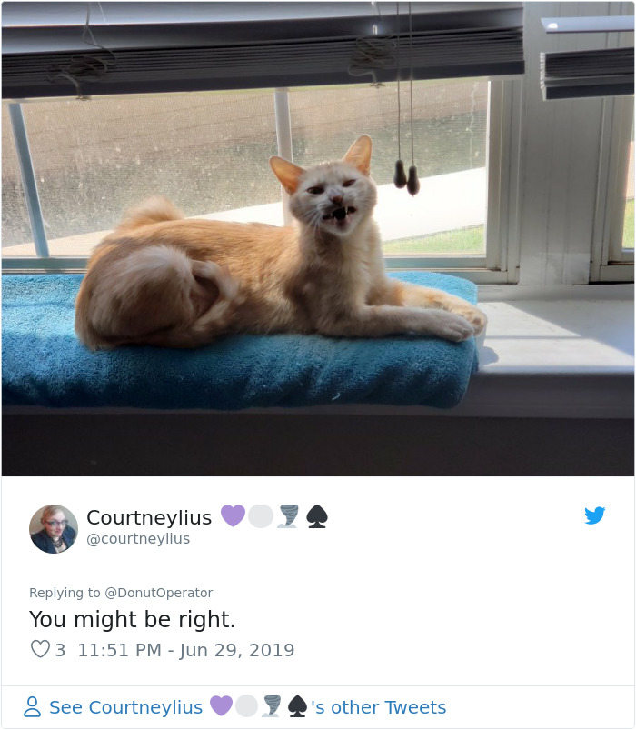 Sending-Cute-Cat-Pics-Trick