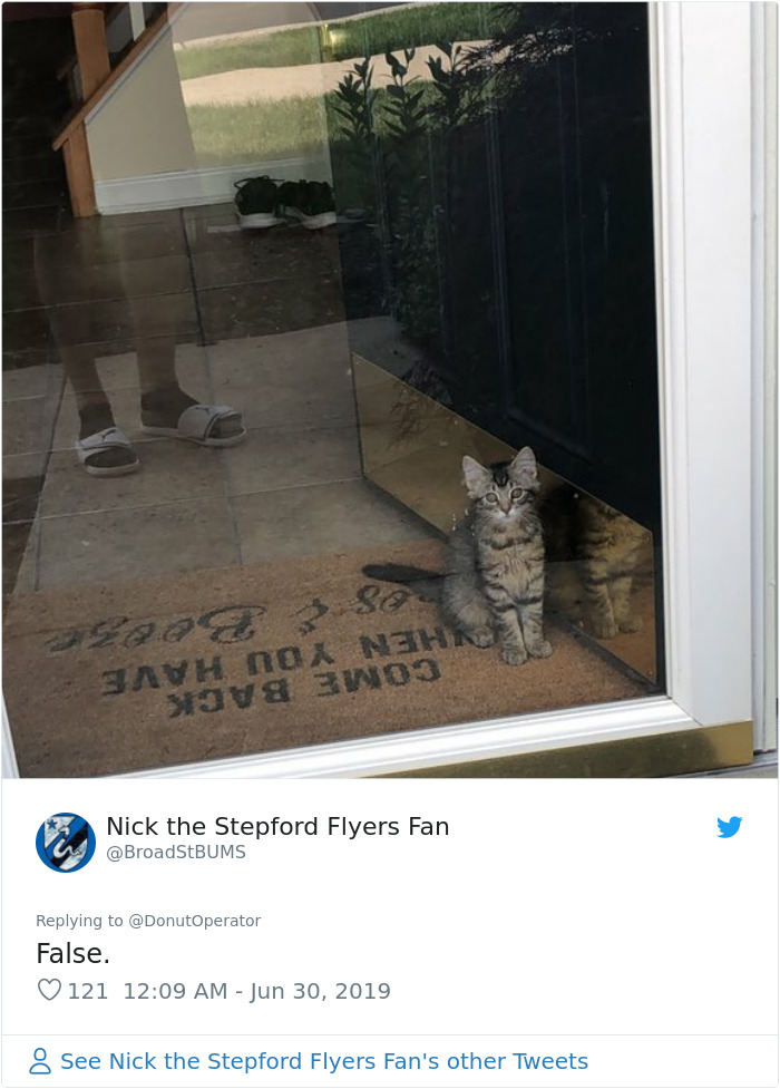 Sending-Cute-Cat-Pics-Trick