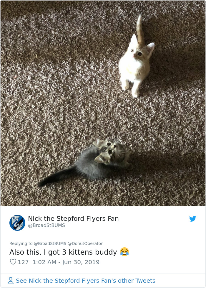 Sending-Cute-Cat-Pics-Trick