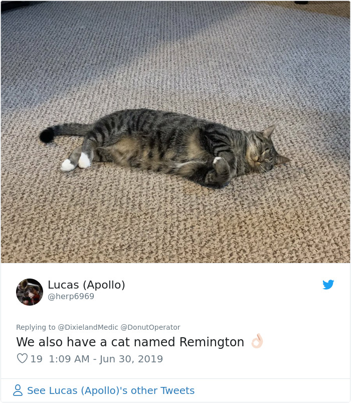 Sending-Cute-Cat-Pics-Trick