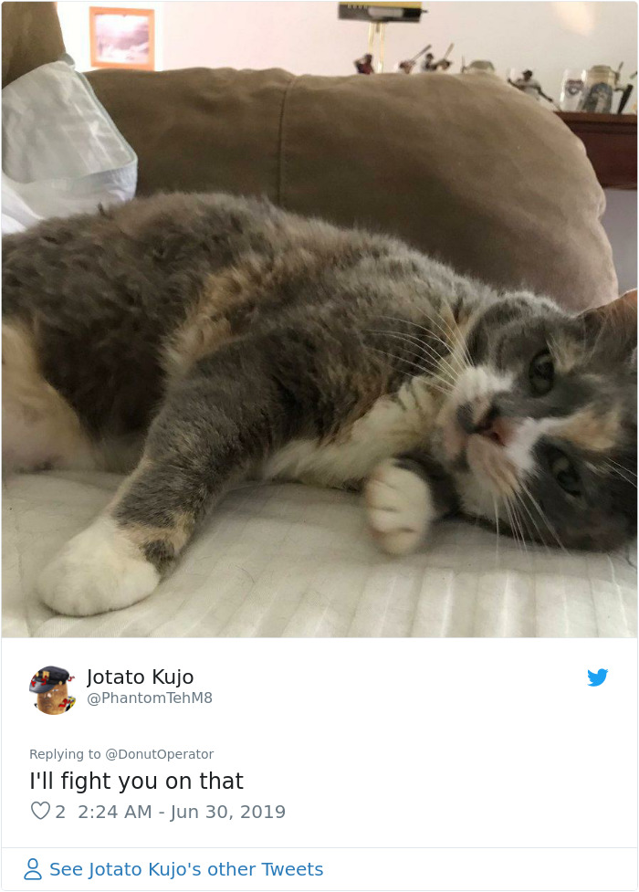 Sending-Cute-Cat-Pics-Trick