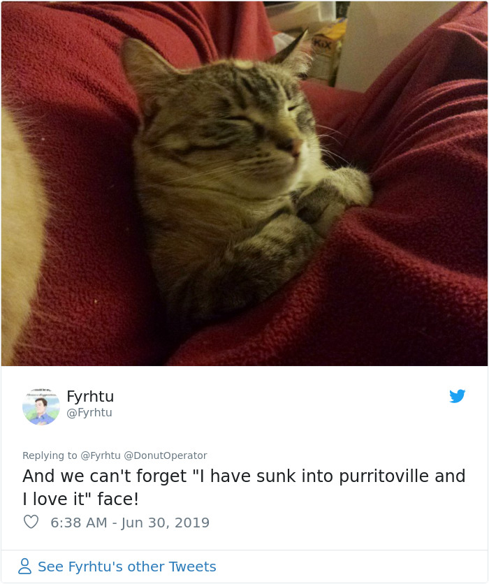 Sending-Cute-Cat-Pics-Trick