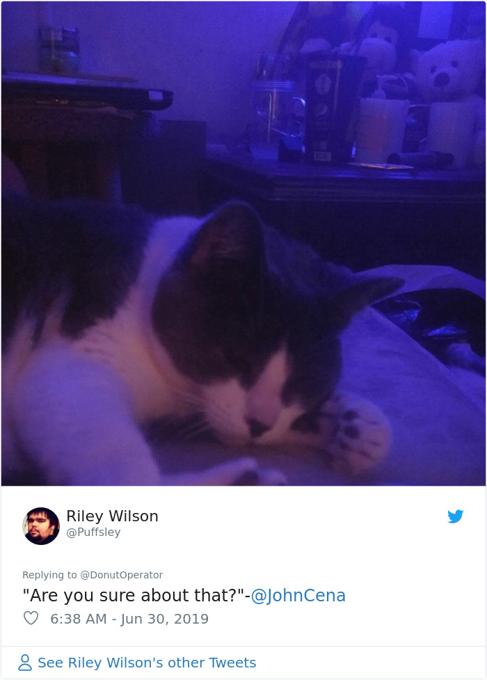 Sending-Cute-Cat-Pics-Trick