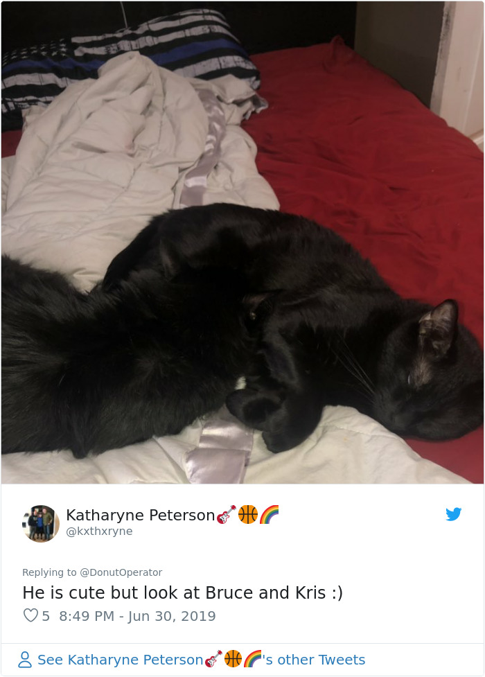 Sending-Cute-Cat-Pics-Trick