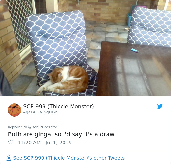 Sending-Cute-Cat-Pics-Trick