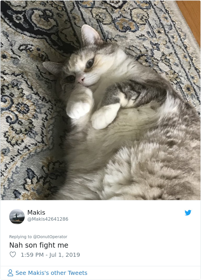 Sending-Cute-Cat-Pics-Trick