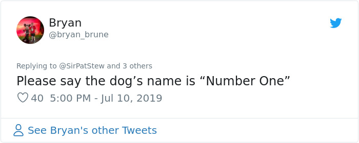 New 'Star Trek: Picard' Poster Features Sir Patrick Stewart And His Companion Dog New 'Star Trek: Picard' Poster Features Sir Patrick Stewart And His Companion Dog