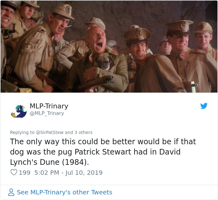 New 'Star Trek: Picard' Poster Features Sir Patrick Stewart And His Companion Dog New 'Star Trek: Picard' Poster Features Sir Patrick Stewart And His Companion Dog