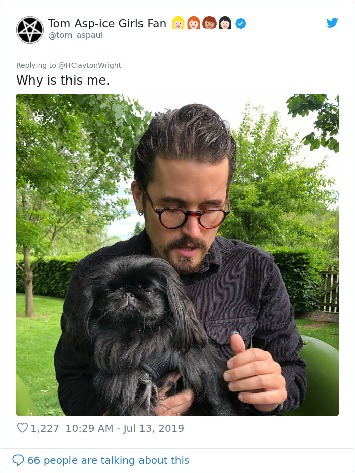 Owners-Look-Like-Their-Pets-Hair-Style