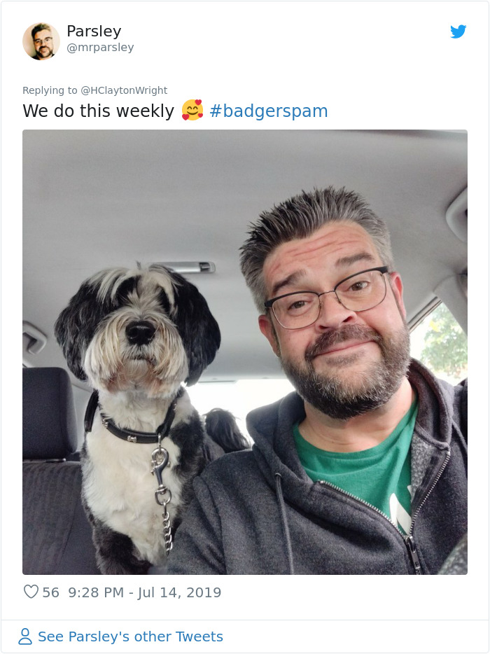 Owners-Look-Like-Their-Pets-Hair-Style