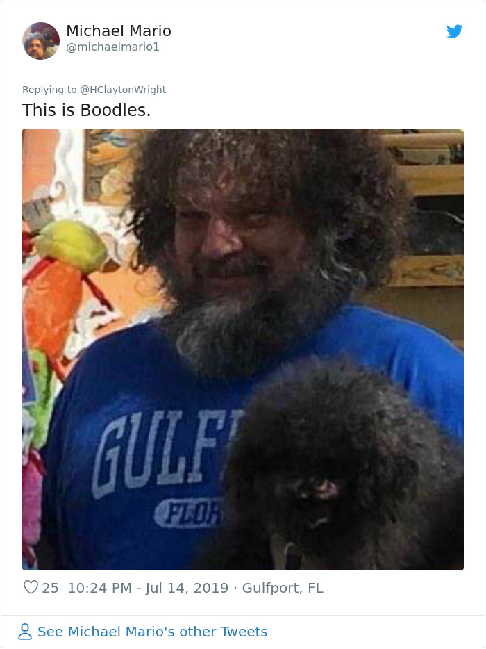 Owners-Look-Like-Their-Pets-Hair-Style