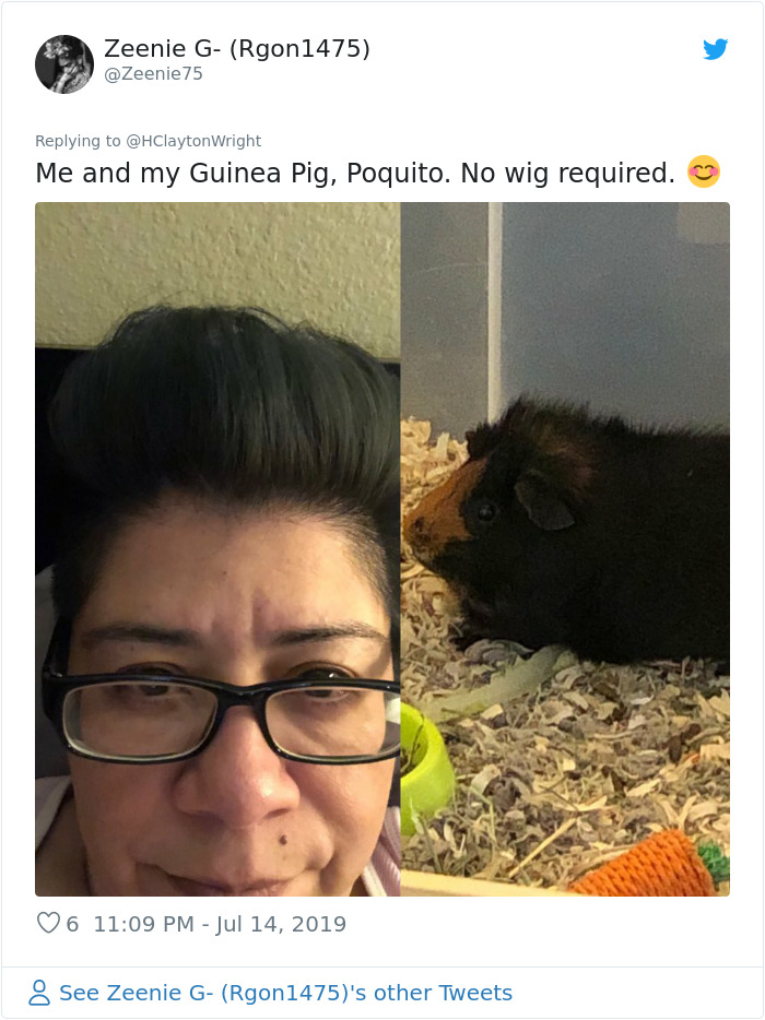 Owners-Look-Like-Their-Pets-Hair-Style