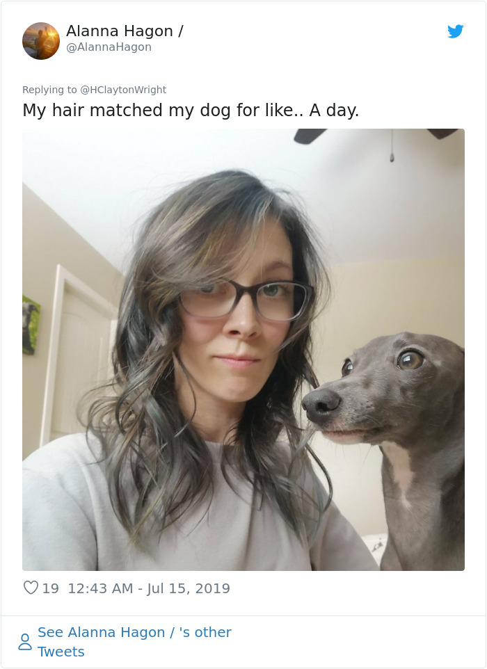 Owners-Look-Like-Their-Pets-Hair-Style