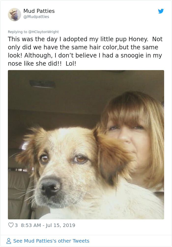 Owners-Look-Like-Their-Pets-Hair-Style