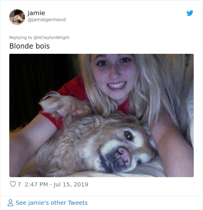 Owners-Look-Like-Their-Pets-Hair-Style