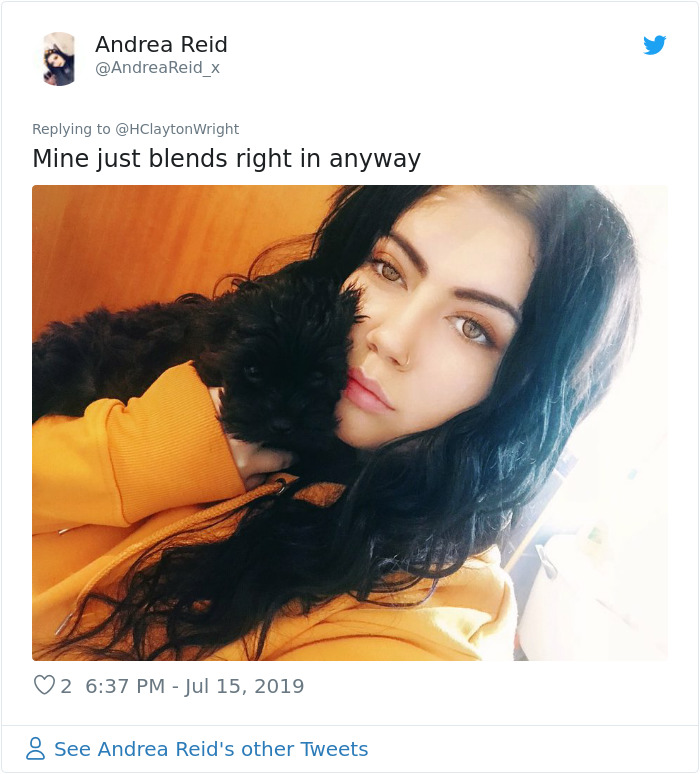 Owners-Look-Like-Their-Pets-Hair-Style