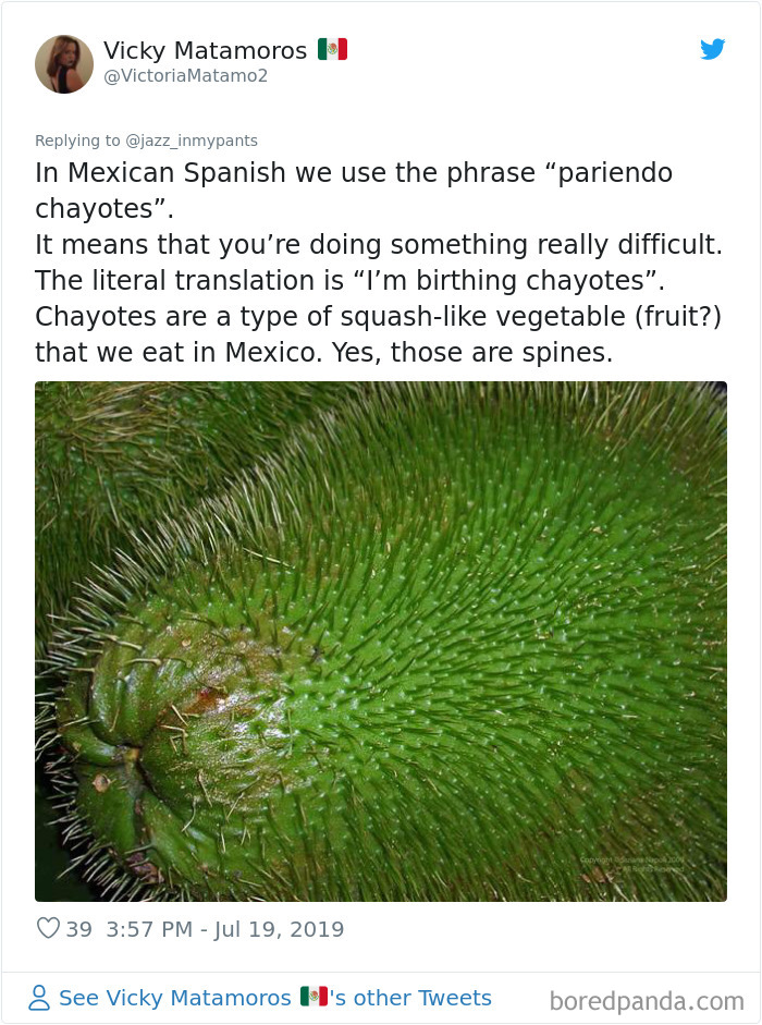 People-Share-Favorite-Foreign-Language-Phrases