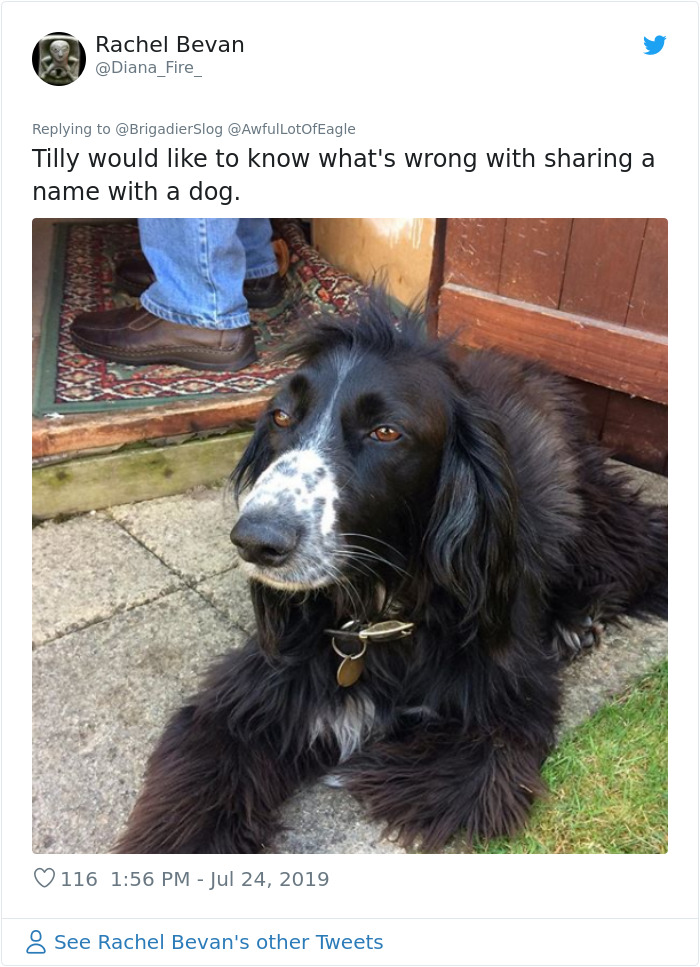 Woman Demands This Dog's Name Be Changed Because That's How She Wants To Call Her Newborn, Goes Ballistic After Owner Refuses