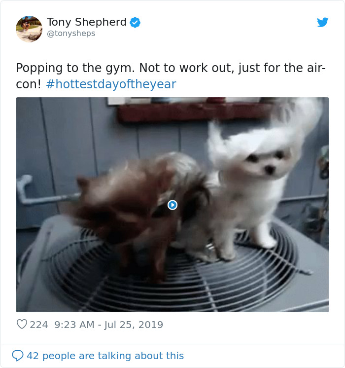 Great-Britain-London-Heatwave-2019