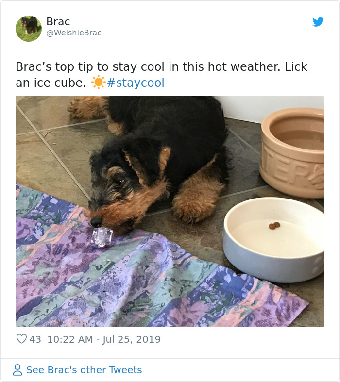 Great-Britain-London-Heatwave-2019