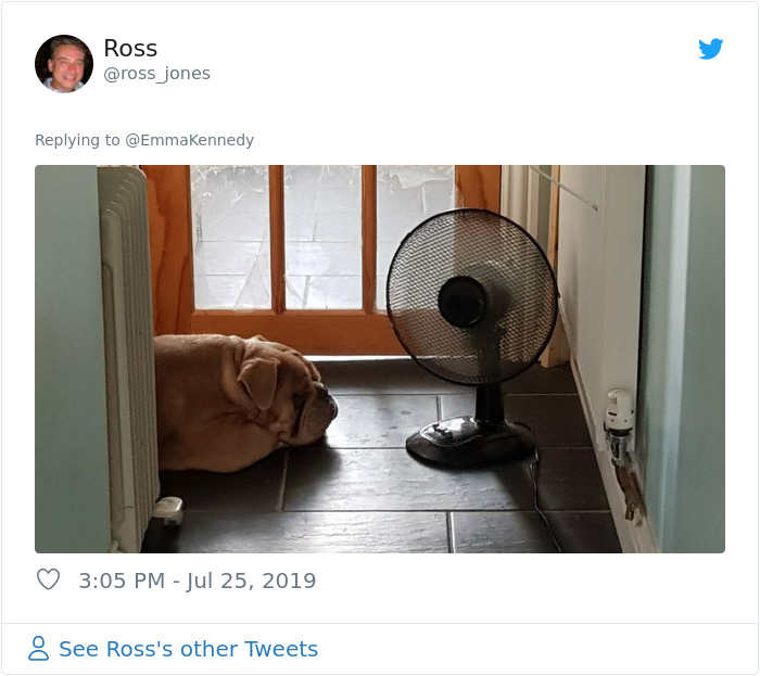 Great-Britain-London-Heatwave-2019